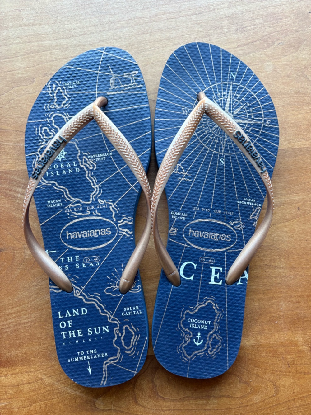 NWOT Havaianas Blue Map Print Flip Flops with Metallic Bronze Straps size 9